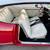 1968 Buick Skylark 19 thumbnail
