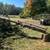 Cedar log 4 thumbnail