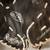 * Rawlings 1st First Basement Glove, Black Leather, 13"  Like New 7 thumbnail