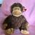 TY Classic series Beanie/ Bungle 1 thumbnail