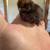 Chicks 7 thumbnail