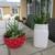 Set Of Red & White Polka Dot Garden Pots With Succulents 1 thumbnail