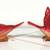 Vintage 1950's "Red Birds (Cardinals?)" Salt and Pepper Shaker Set 4 thumbnail