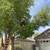 🌳J&R Landscaping/ tree service/ weed control/ yard maintenance🌳 13 thumbnail