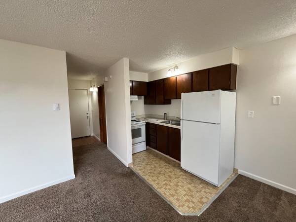 Beautiful 1 bedroom homes available in Downtown Vancouver 1