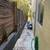 Silver Lake Room For Rent 21 thumbnail