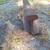 Vintage Steelton Pa. Railroad Track Anvil 100 Pounds - 27" - Good Cond 3 thumbnail