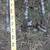 Old Seeder for Decoration, Yard Art - No Seed Cans 7 thumbnail