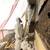 ASBESTOS Removal | DRYWALL Removal | DEMOLITION 13 thumbnail