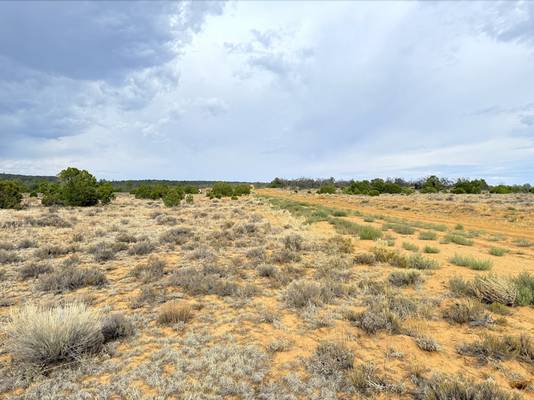 $9,150 Build Home & Park RV in 2.5 Acre at $150/m64290493440001122