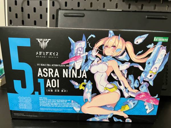 Megumi device building model 1