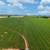 72+ Acre Irrigated Farmland with Development Potential! 7 thumbnail