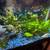 Fish tank 8 thumbnail