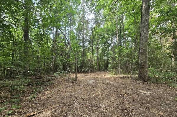 $750,000 38 Acres of Raw Land - FCFS (Decatur)63801809094913123