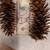 Large Pine Cones 2 thumbnail