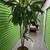 Large Quality Artificial Plant 2 thumbnail