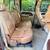 TRADE/Sale 05 Ford F-350 Dually King Ranch 4x4 Diesel 1 Owner 100k FX4 14 thumbnail