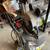 Air compressor plus tools 1 thumbnail