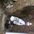 PLUMBING AFFORDABLE PRICE CALL NOW 9 thumbnail