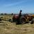 Premium grass hay 2 thumbnail