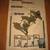 Wanted vintage movie posters. 6 thumbnail