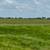 Excellent Large Round Bales 1 thumbnail
