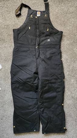 Installated black line carhartt bibs 1