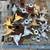100 spoke dayton wire wheel knockoffs spinners tools 13 thumbnail