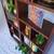 Handcrafted Solid Wood Bookcase Set | Custom Library Wall Bookshelf 12 thumbnail