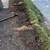 Yardwork or PRUNING!! 6 thumbnail