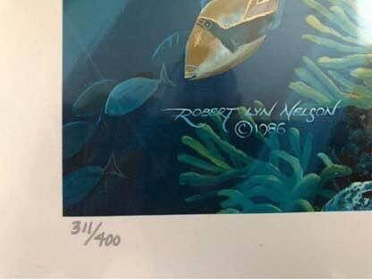 Robert Lyn Nelson‘s “Lahaina Seaflight” - $20062928857103873122