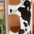 Cow Milk or Coffee Mugs 4 thumbnail