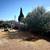 Charming 2BR/1BA House for Rent – Fenced Yard + Bonus Room 9 thumbnail