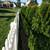 EVERGREEN SCREENING. HEDGES, PRICACY WALLS ETC 14 thumbnail