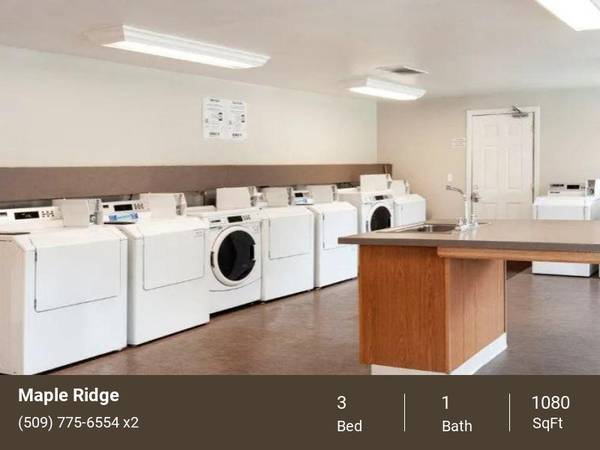 $1,464 / 3br - 1080ft2 - ¡Mucho árboles y espacio! (Richland)63674570117763122