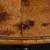 Amazing German Violin labeled "Carlo Bergonzi fece in Cremona" 13 thumbnail