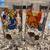 McDonald's Canada/Coca-Cola/Disney Promotional Glasses, 2 Sets of 4 9 thumbnail