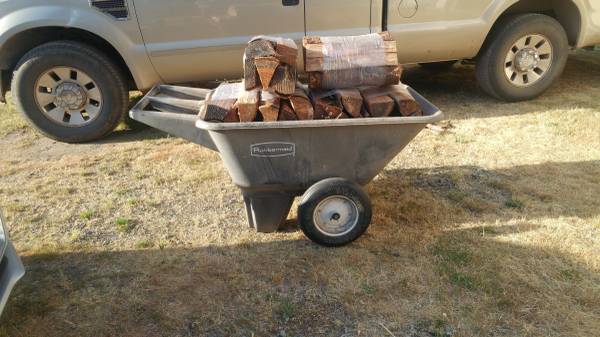 bone dry firewood bundles. 1
