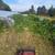 Brush Clearing, Underbrush thinning, Forestry Mulching 🌱🌿 21 thumbnail