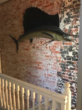 $1,600 / 1br - Room in Sunny Urban Oasis Filled with Books and Plants (Bloomingdale/NOMA)64040193642881124