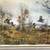 Quail Covey Print By David Hagerbaumer 11 thumbnail