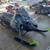 2021 Arctic Cat ZR 9000 Thundercat ARS II 1 thumbnail