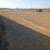 Clearing, mulching,treepulling, dirtwork. 9 thumbnail