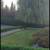 ★★ !!Totally YARD CLEAN UP★Cleanup★Hedge/Trim★New sod grass 10 thumbnail