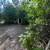 FCFS Off Market Fixer in the Heart of Englewood 22 thumbnail