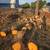 In Town Firewood various size Pine Logs 2 thumbnail