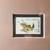 Framed Golden Trout Stamp and Art 2 thumbnail
