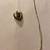 Vintage Gold Marines Lockete Necklace 1 thumbnail