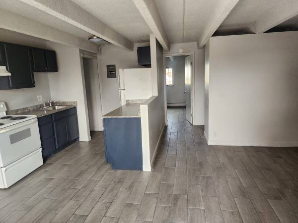 $1,850 / 1br - 850ft2 - 1 BR Apartment, Voucher Friendly, no Background or Credit Check! (Aurora, CO Lowry)63679424065793120
