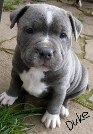 Need Home $250 (Chillicothe)63872687448707120